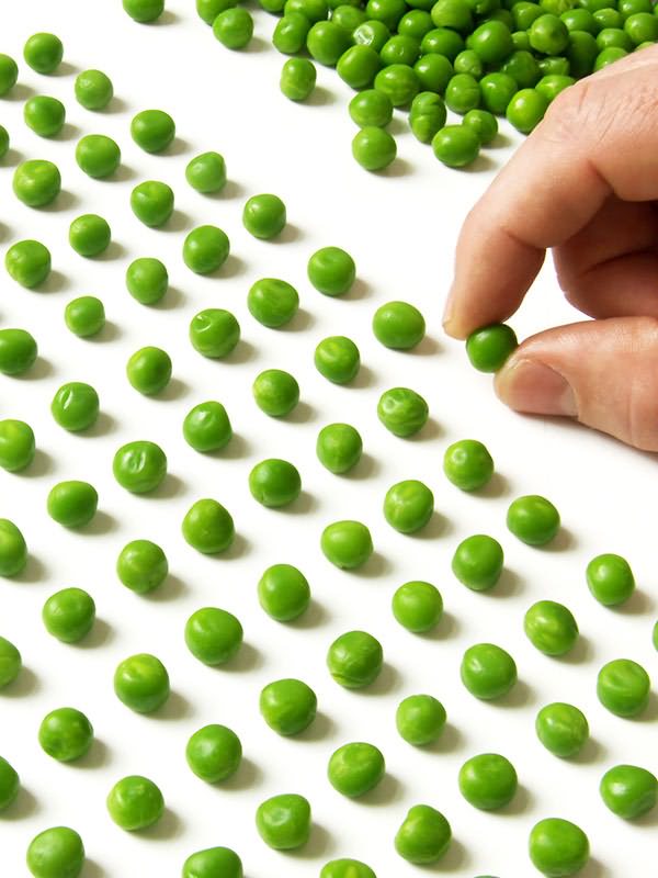 Tratamento do Transtorno Obsessivo-Compulsivo | Psicologo RJ